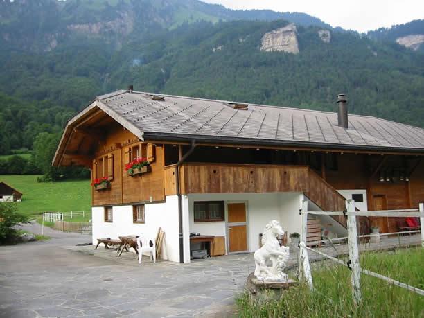 Eichhof Brienzwiler Berner Oberland Villa Exterior photo