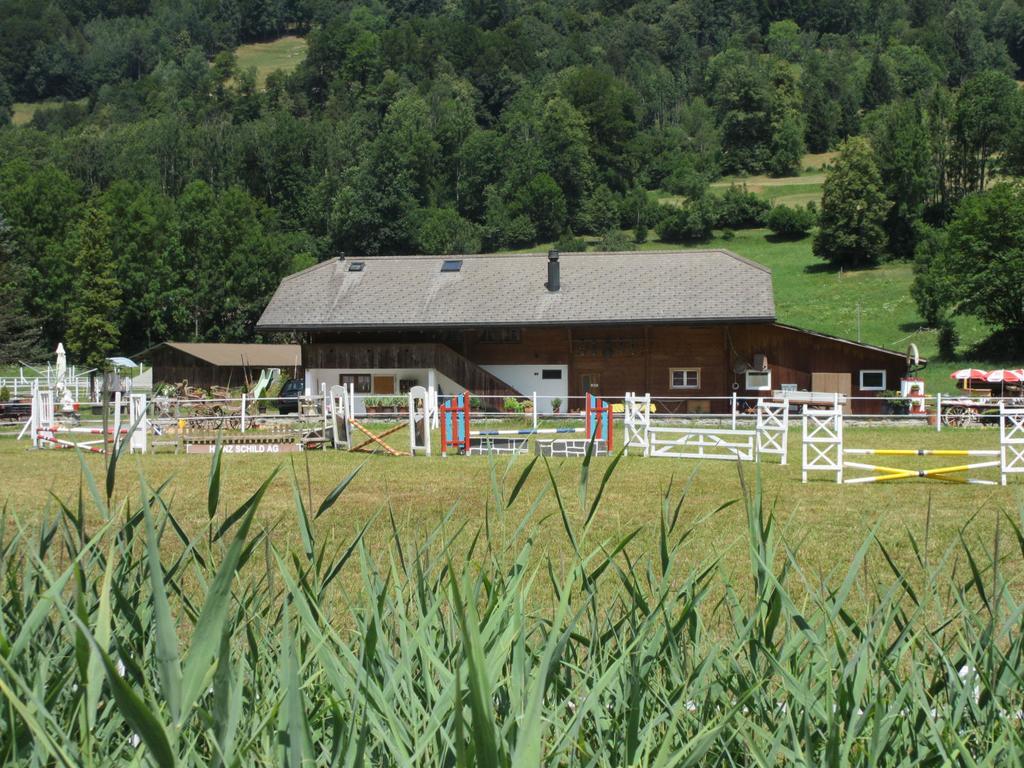 Eichhof Brienzwiler Berner Oberland Villa Exterior photo